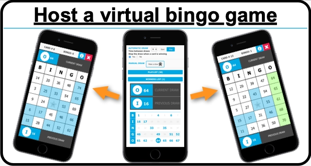 virtual bingo game